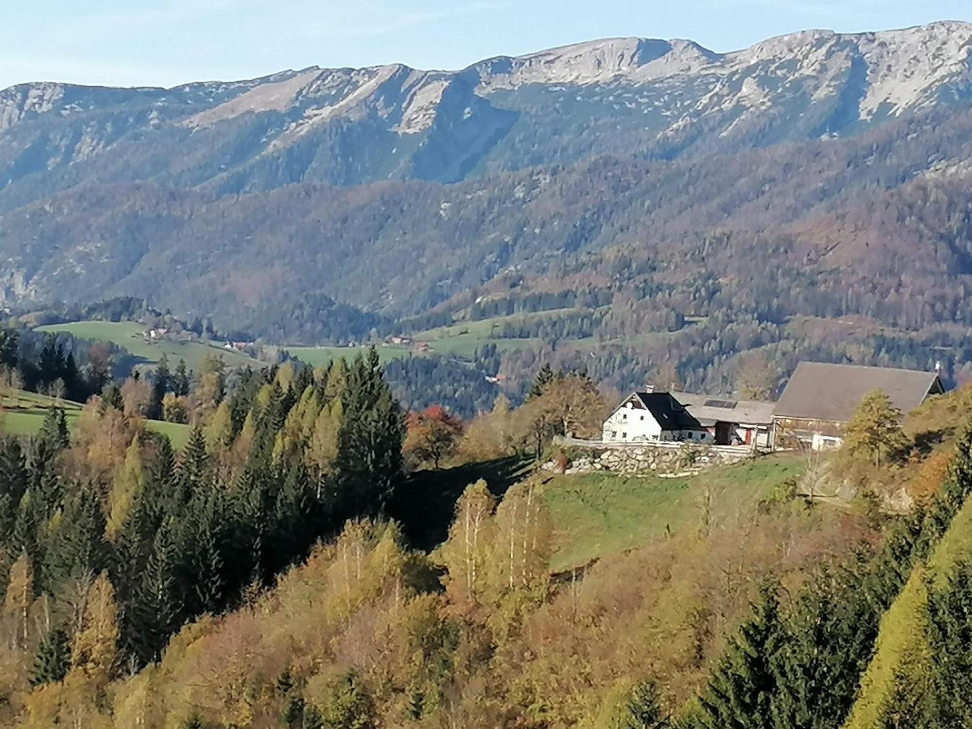 Familienbauernhof Imitz, Ferienwohnung Шпитал ам Пирн Екстериор снимка